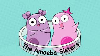 Amoeba Sisters Music [upl. by Orips]