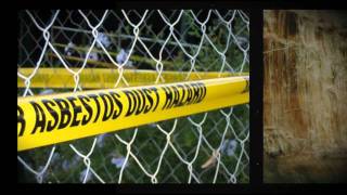 Asbestos Abatement Mold Removal Atlanta [upl. by Caia]