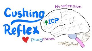 Cushing Reflex  Cushing Triad  Intracranial Hypertension  Emergency Medicine and EMS EMT [upl. by Spiers]