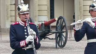 Stoccolma Cambio della guardia a Palazzo Reale 🇸🇪 [upl. by Brook]