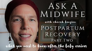 Ask A Midwife about Postpartum Recovery  part two  After the Babys Birth [upl. by Lanos564]