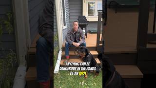 Are Rottweilers Dangerous dogtraining dogtrainer rottweiler [upl. by Telrats]