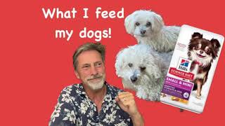 What Do I Feed My Dogs Science Diet Wellness Orijen [upl. by Atteroc]