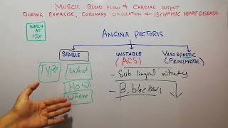 CVS physiology 211  Angina pectoris  Stable vs unstable angina  Vasospastic or Prinzmetal angina [upl. by Ahtibbat]