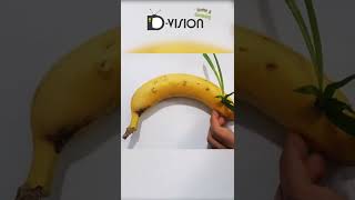 HOW to PROPAGATE spider PLANT In BANANA [upl. by Eyssej265]