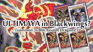 YGO CRIMSON DRAGON is not only for Yusei  1 CARD SIMOON Blackwing Combo [upl. by Aiciled]