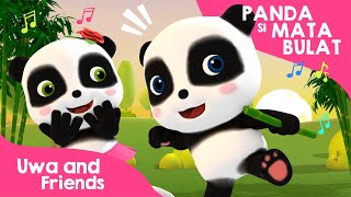 Panda Si Mata Bulat  Lagu Binatang Lucu  Lagu Anak Indonesia [upl. by Affer656]